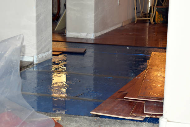 Professional Emergency Water Damage Restoration technician working in Cedar Grove, WI